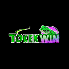 TOKEKWIN - Aplikasi Utility Terbaik untuk Kebutuhan Anda